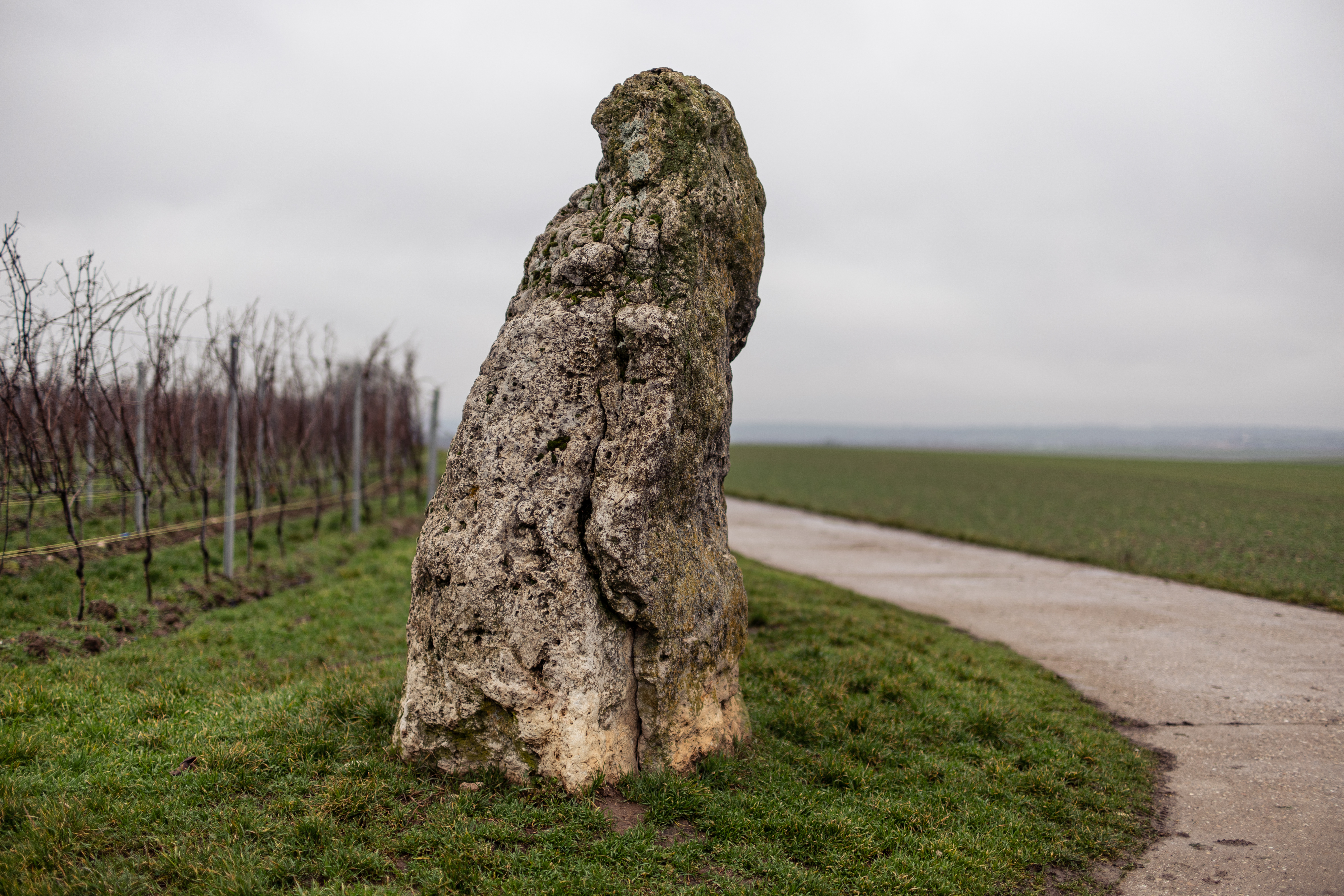 Menhir in Dittelsheim-Heßloch
