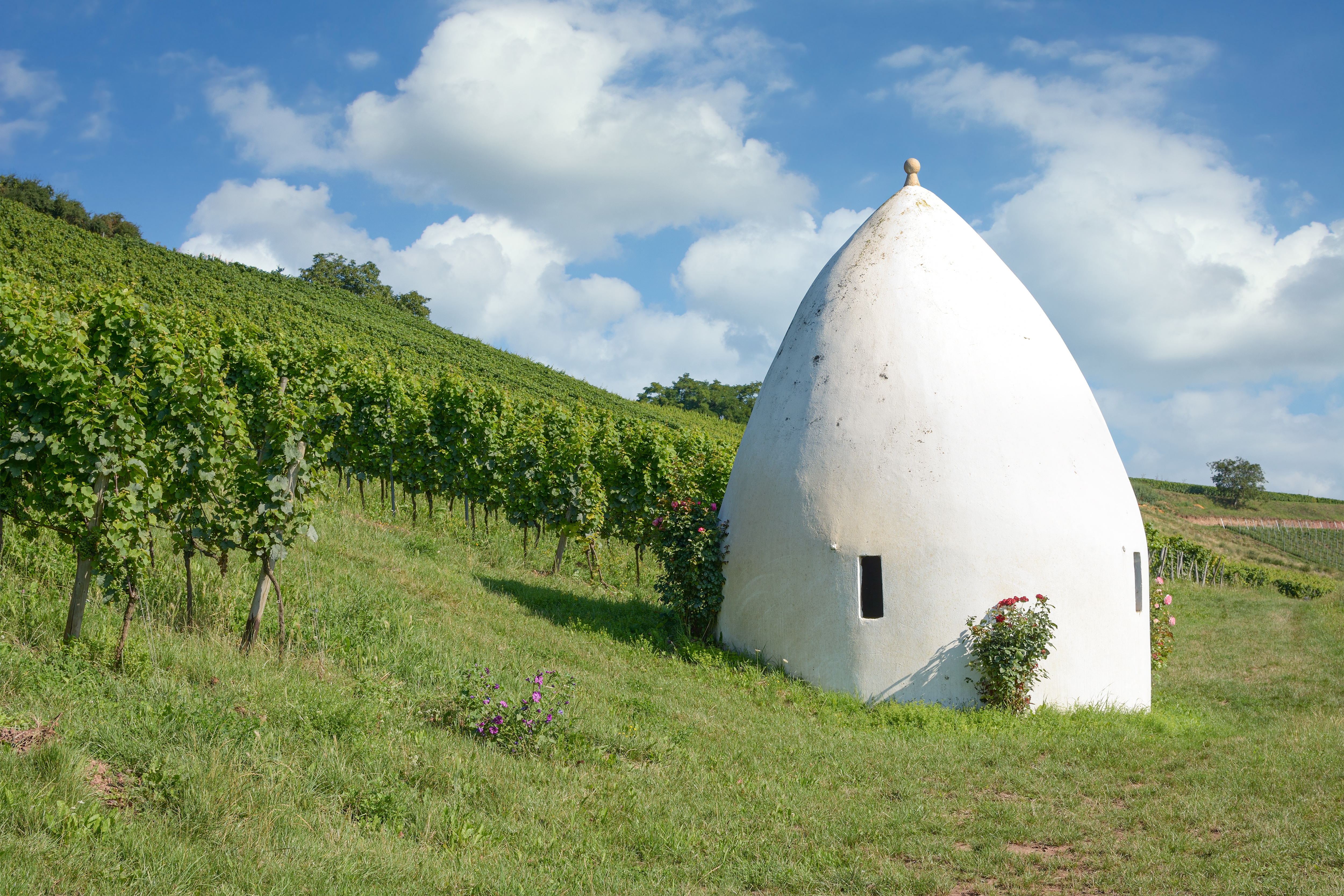 Trulli in den Weinbergen Flonheim