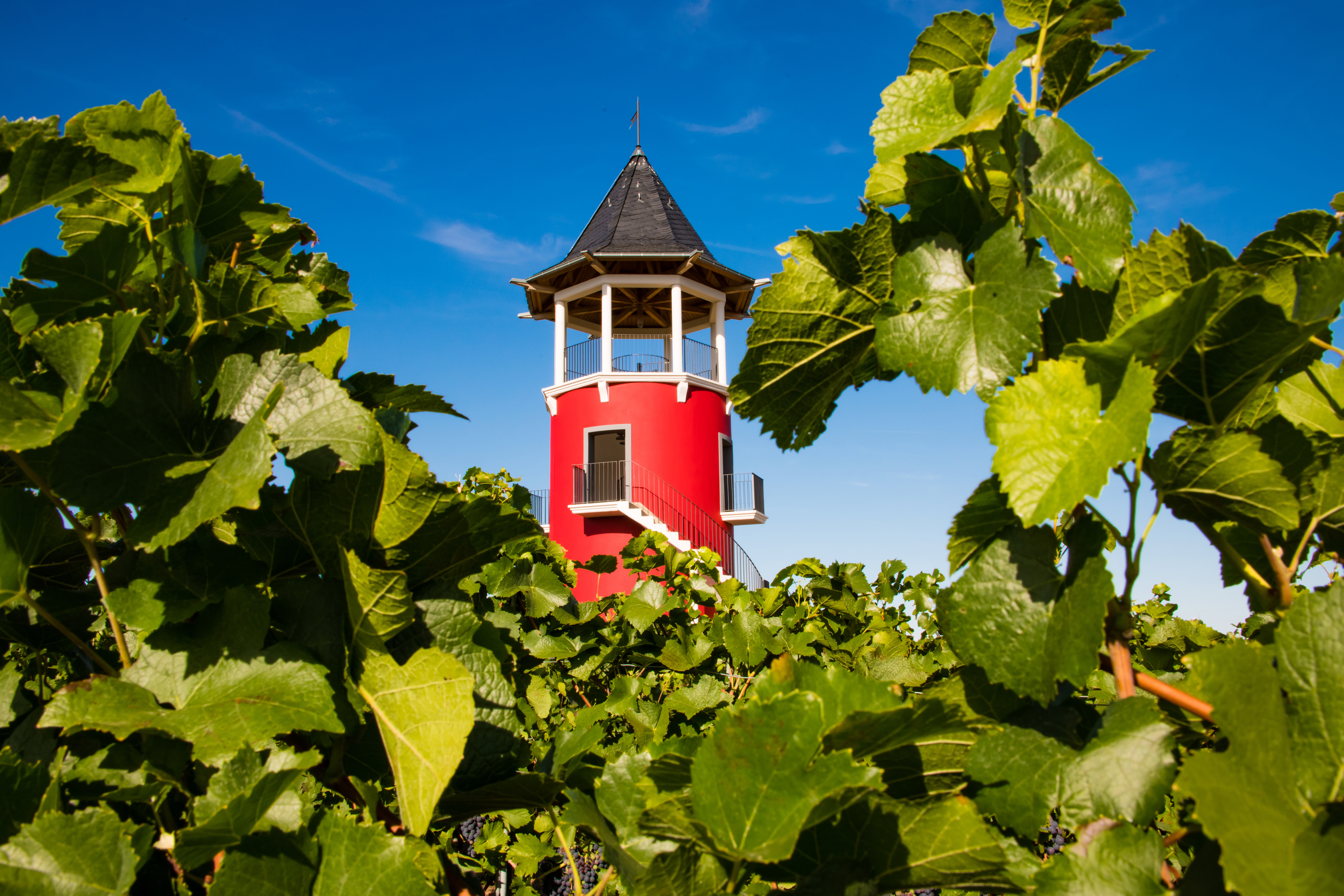 Burgunderturm Wörrstadt (linzenziert)