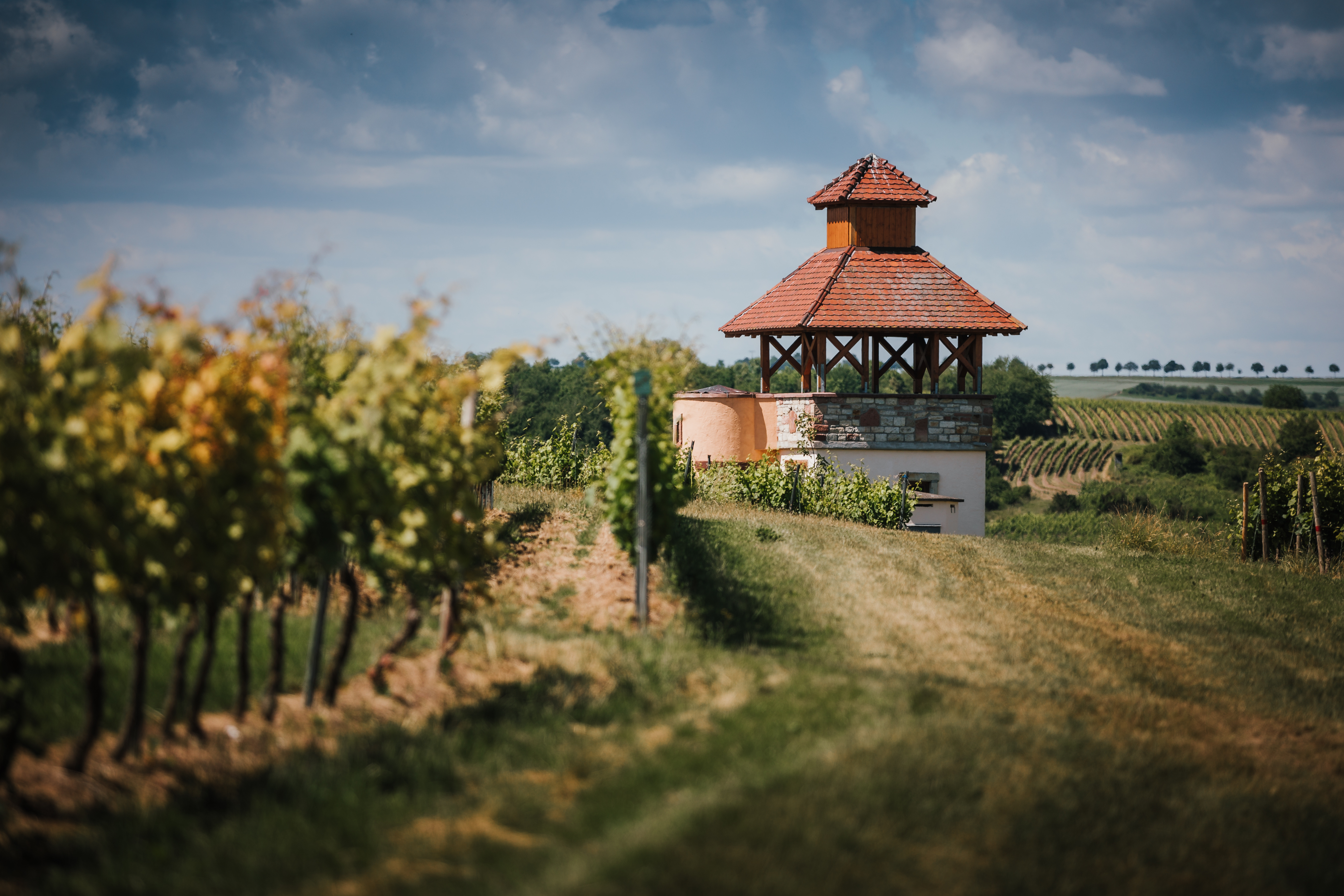 Saulheim Pertelturm