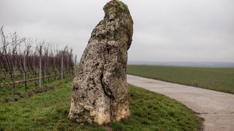 Menhir in Dittelsheim-Heßloch