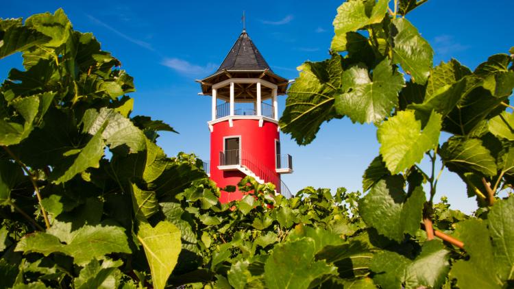 Burgunderturm Wörrstadt (linzenziert)