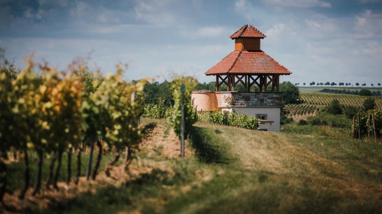 Saulheim Pertelturm